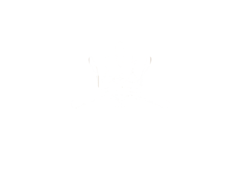 BARONY
