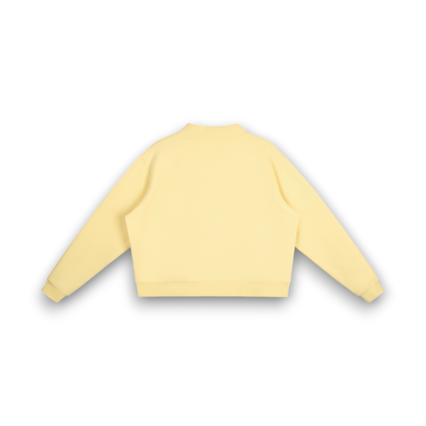 RB Mock Neck Crew Jelly Sweatshirt